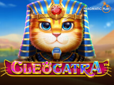 Temizmama kedi kumu. Bahsegel online casino.35